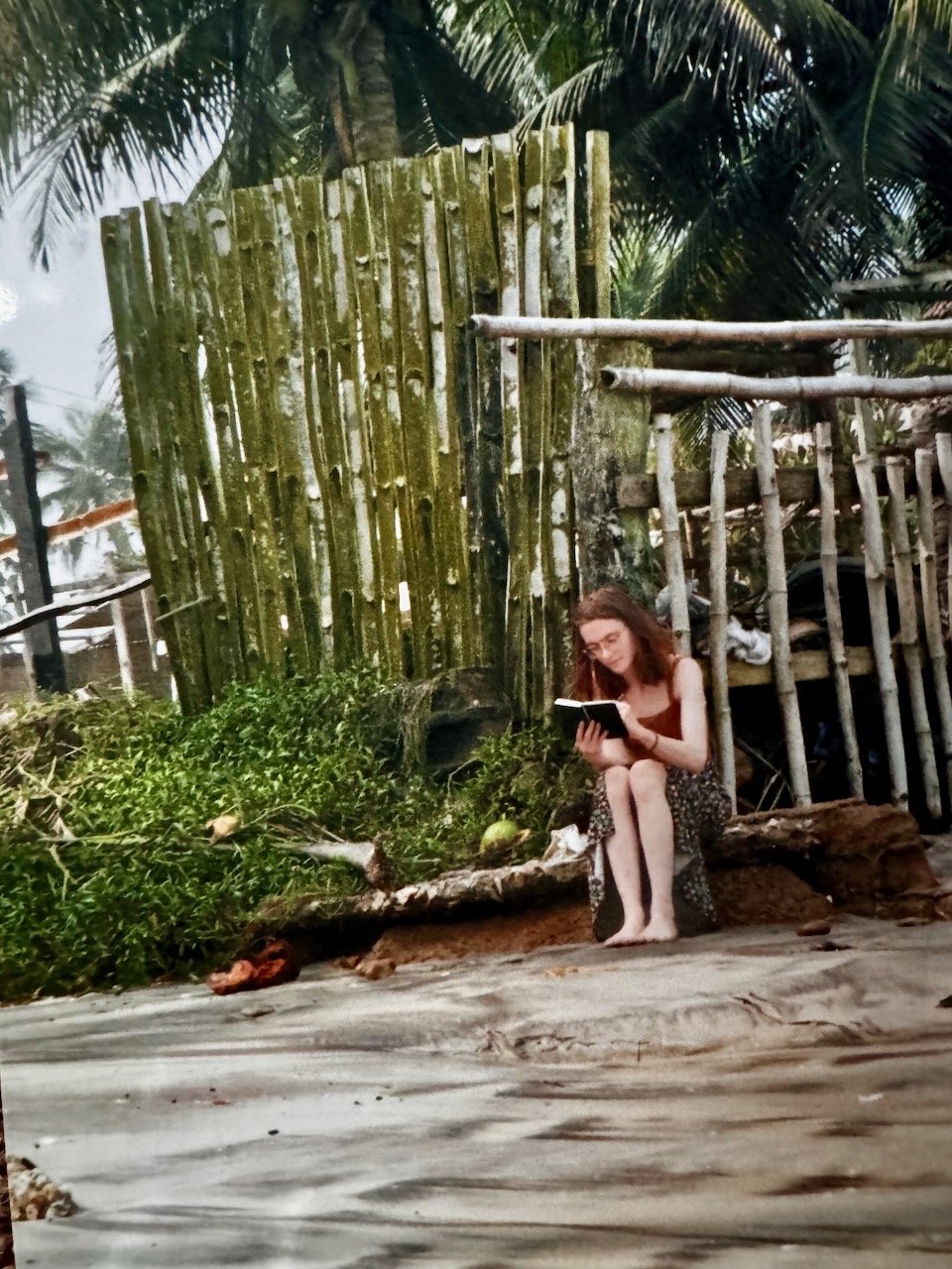 katharina vlcek zeichnet