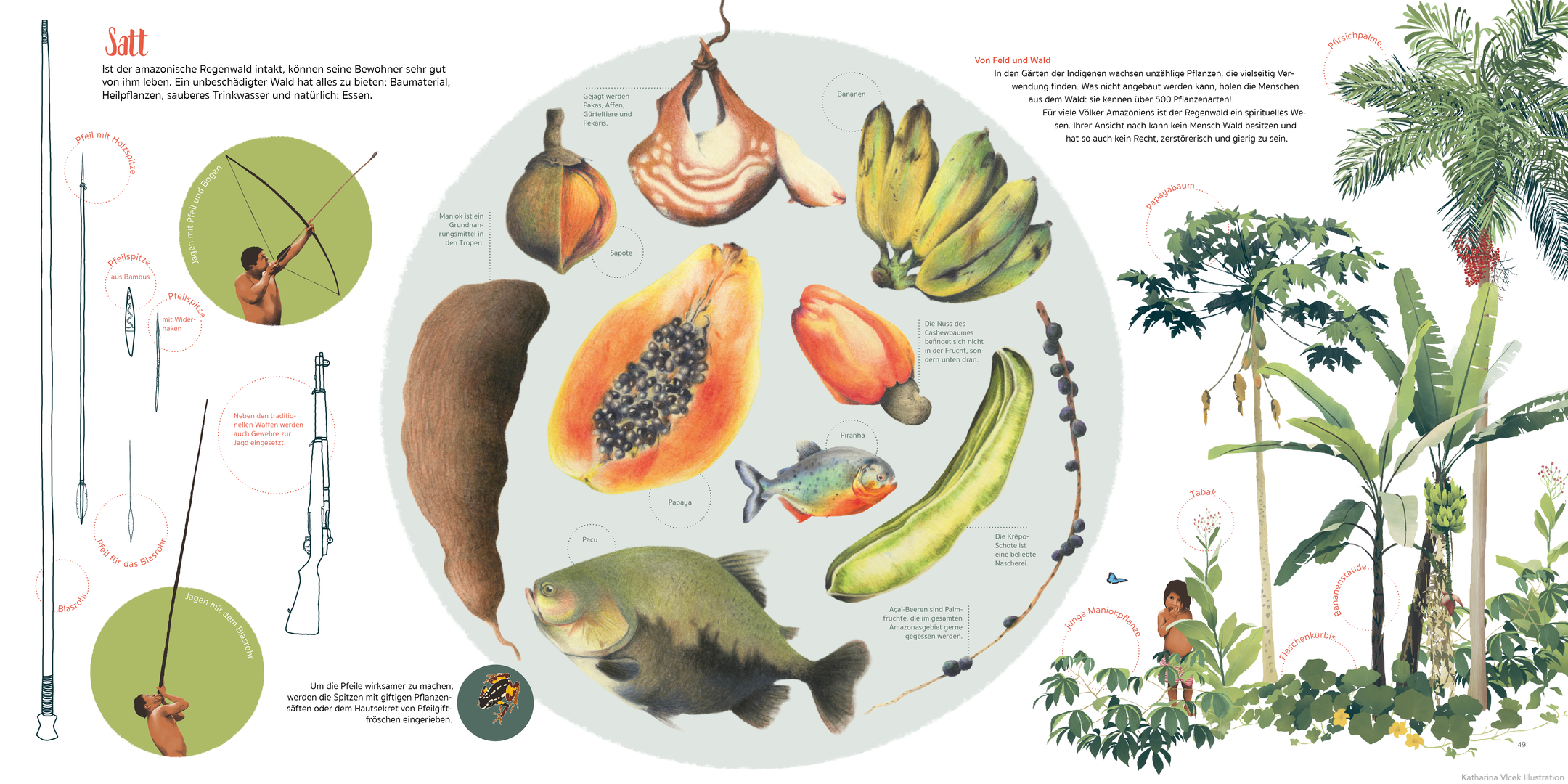 amazonien%20ernährung%20amazonas