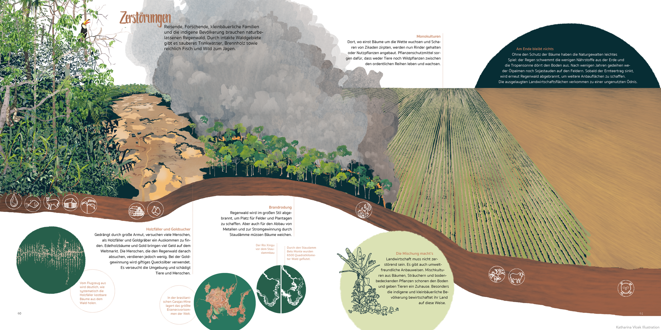 amazonien%20zerstörung%20rodung%20amazonas