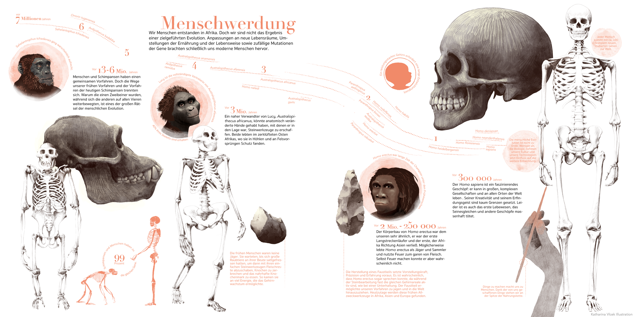 savannen%20evolution%20afrika